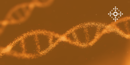 Молекулярно-генетичні методи діагностики (GeneXpert)