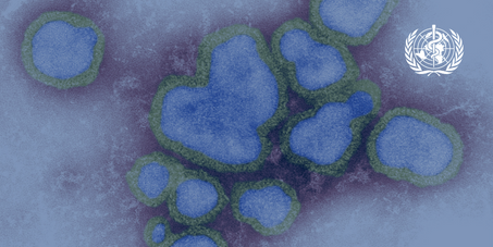 Дозорний епідеміологічний нагляд за грипом
